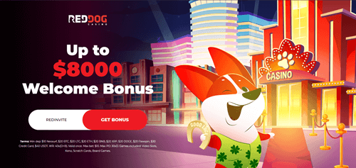 Red Dog Welcome Bonus